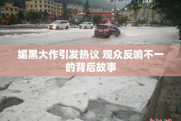 媚黑大作引发热议 观众反响不一的背后故事