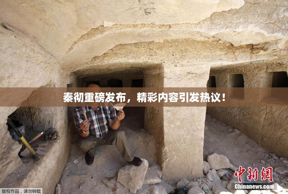 秦彻重磅发布，精彩内容引发热议！