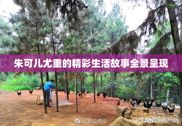 朱可儿尤重的精彩生活故事全景呈现