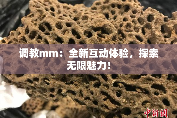 调教mm：全新互动体验，探索无限魅力！