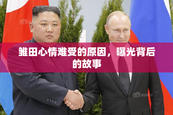 雏田心情难受的原因，曝光背后的故事
