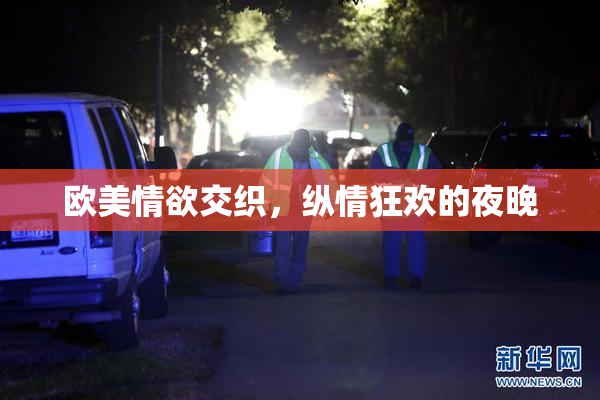 欧美情欲交织，纵情狂欢的夜晚