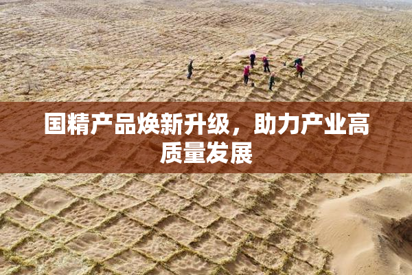 国精产品焕新升级，助力产业高质量发展