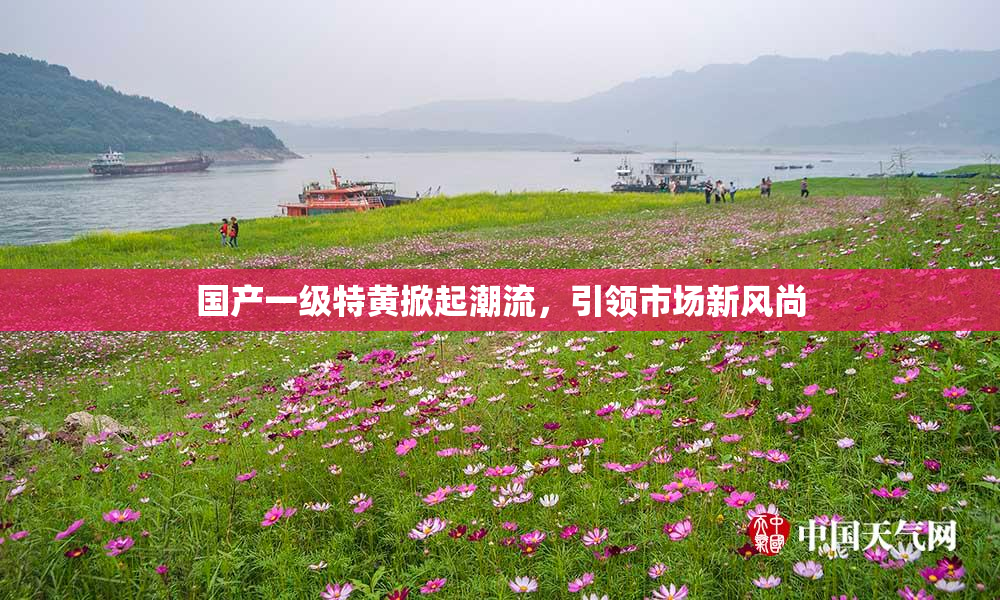 国产一级特黄掀起潮流，引领市场新风尚