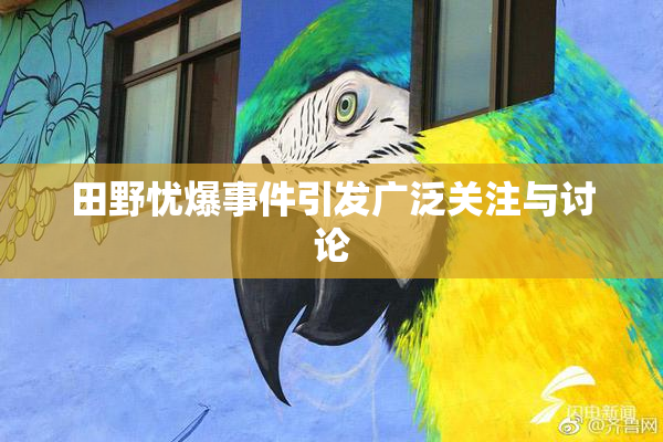 田野忧爆事件引发广泛关注与讨论