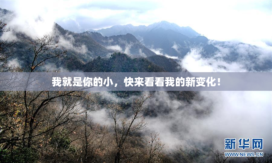 我就是你的小，快来看看我的新变化！