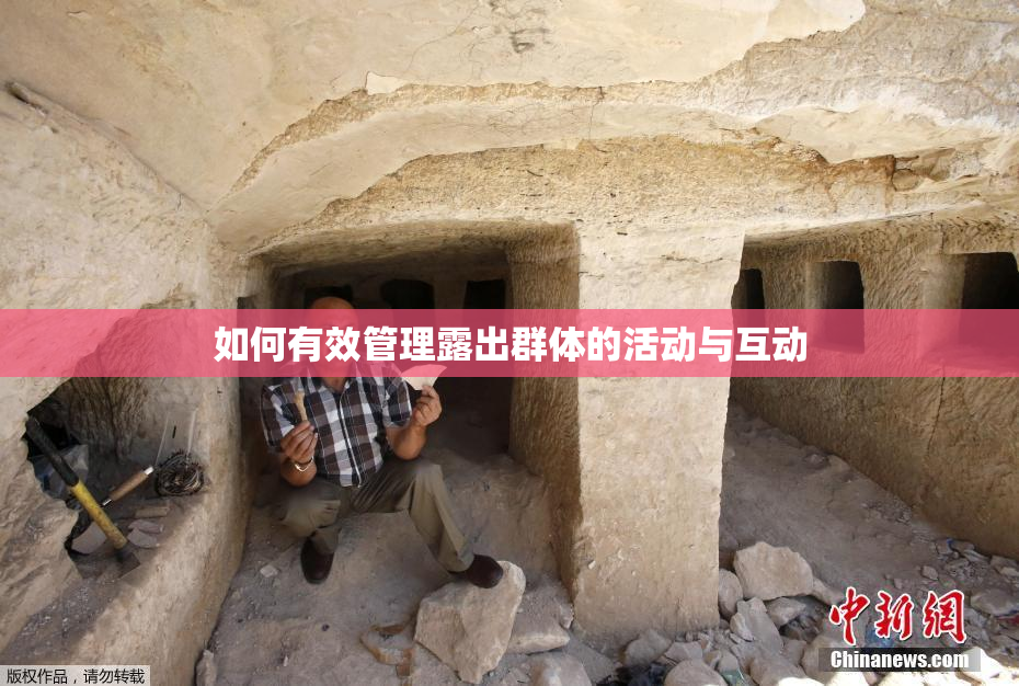 如何有效管理露出群体的活动与互动
