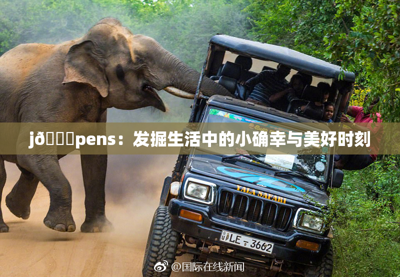 j🈚pens：发掘生活中的小确幸与美好时刻
