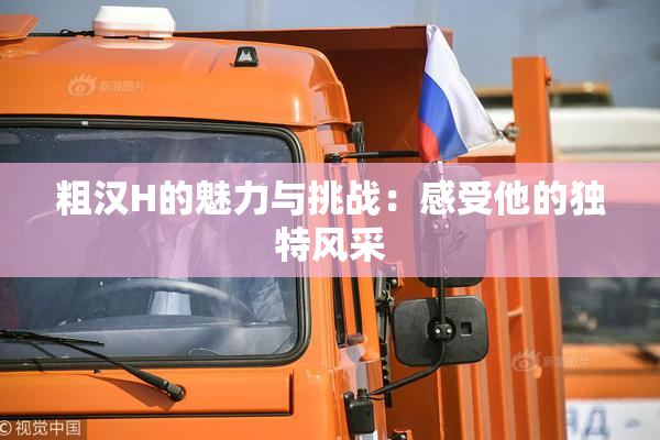粗汉H的魅力与挑战：感受他的独特风采