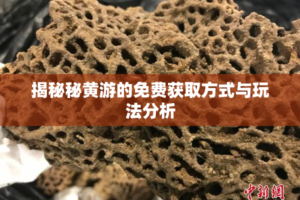 揭秘秘黄游的免费获取方式与玩法分析