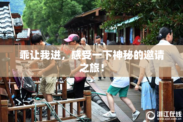 乖让我进，感受一下神秘的邀请之旅！