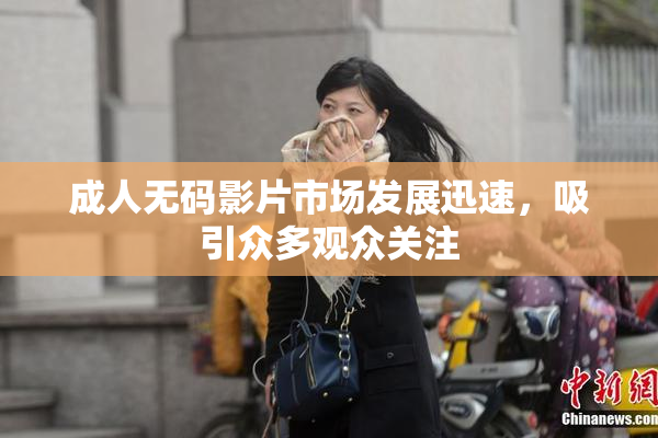 成人无码影片市场发展迅速，吸引众多观众关注