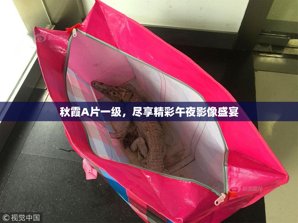 秋霞A片一级，尽享精彩午夜影像盛宴
