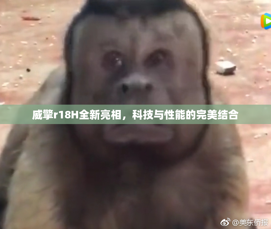 威擎r18H全新亮相，科技与性能的完美结合
