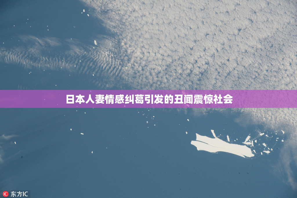 日本人妻情感纠葛引发的丑闻震惊社会