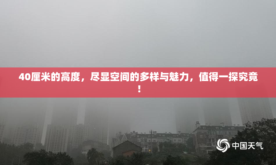 40厘米的高度，尽显空间的多样与魅力，值得一探究竟！