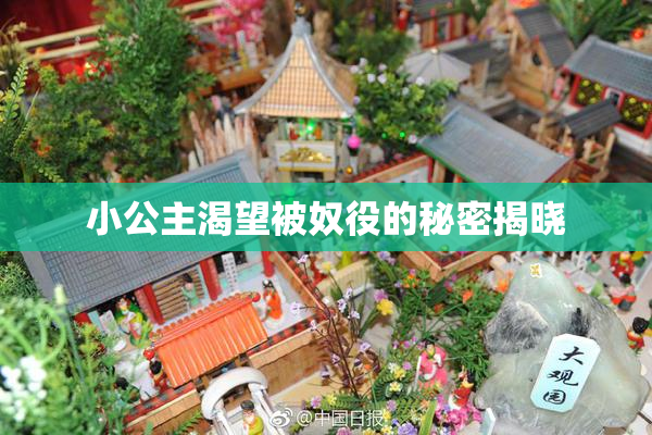 小公主渴望被奴役的秘密揭晓