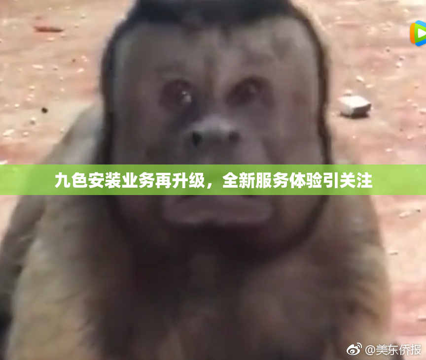 九色安装业务再升级，全新服务体验引关注