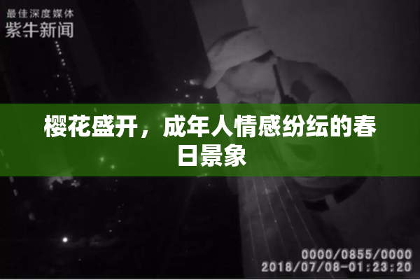 樱花盛开，成年人情感纷纭的春日景象
