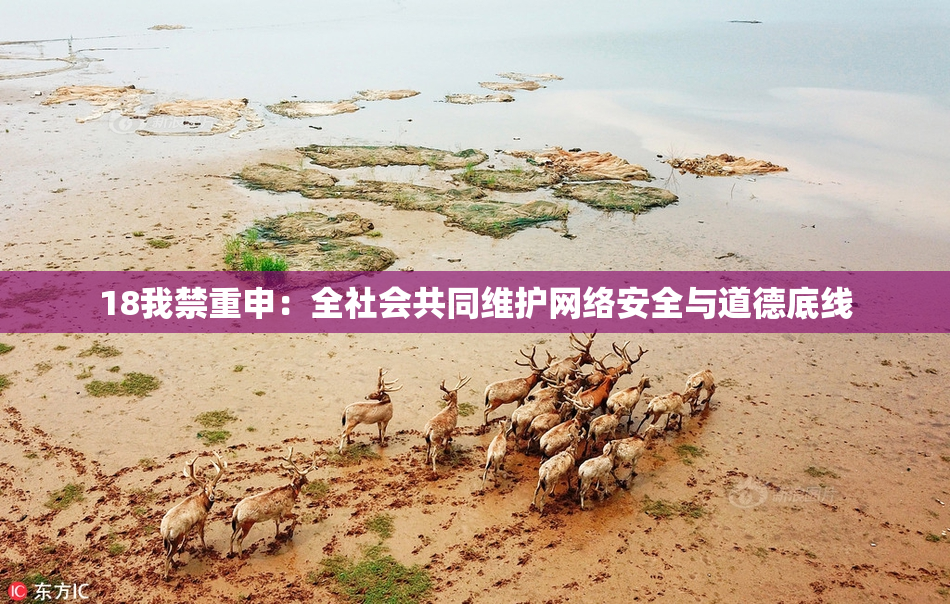 18我禁重申：全社会共同维护网络安全与道德底线
