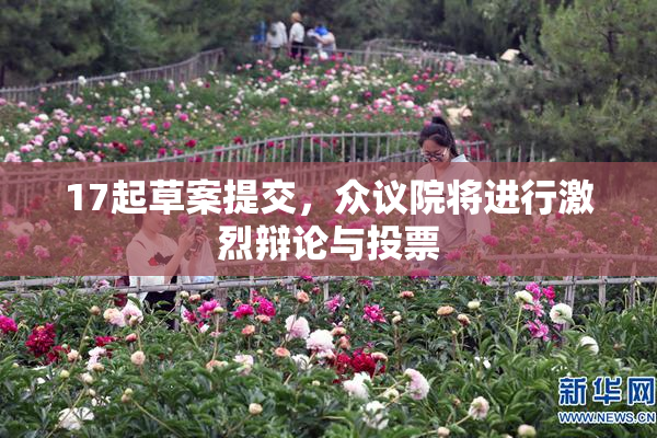 17起草案提交，众议院将进行激烈辩论与投票