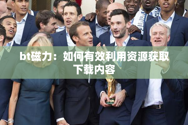bt磁力：如何有效利用资源获取下载内容