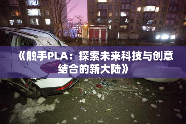 《触手PLA：探索未来科技与创意结合的新大陆》