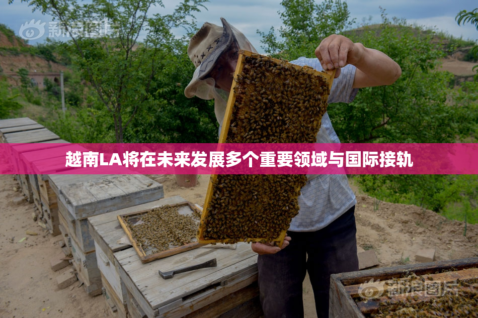 越南LA将在未来发展多个重要领域与国际接轨