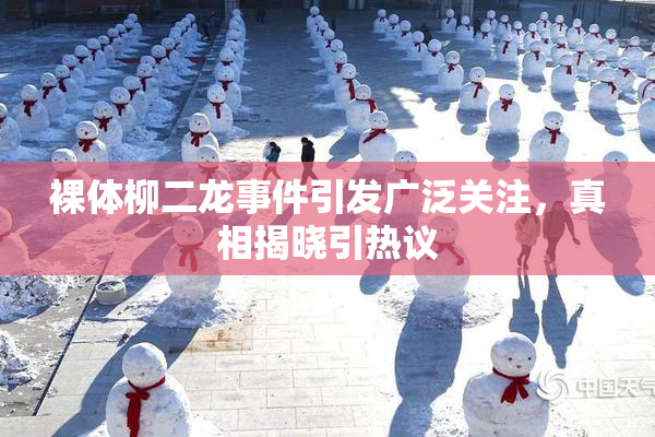 裸体柳二龙事件引发广泛关注，真相揭晓引热议