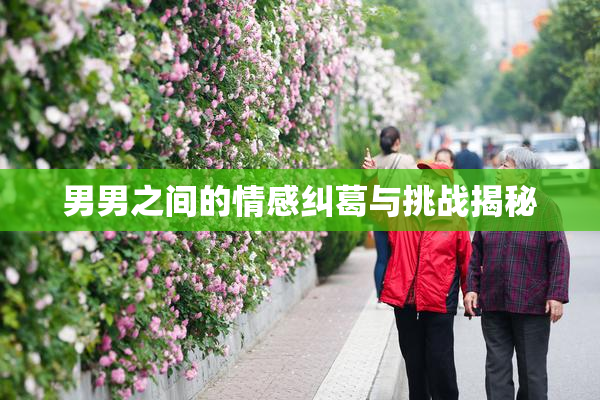 男男之间的情感纠葛与挑战揭秘