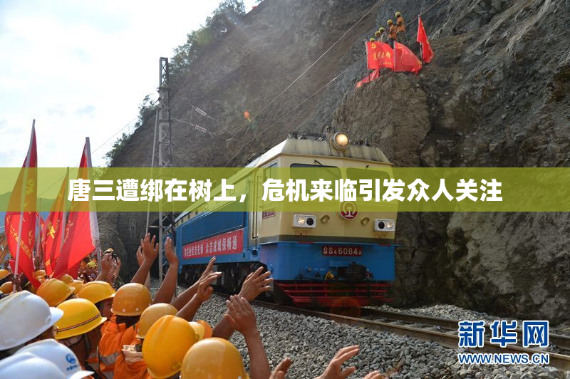 唐三遭绑在树上，危机来临引发众人关注
