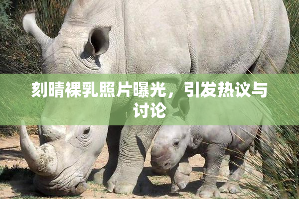 刻晴裸乳照片曝光，引发热议与讨论