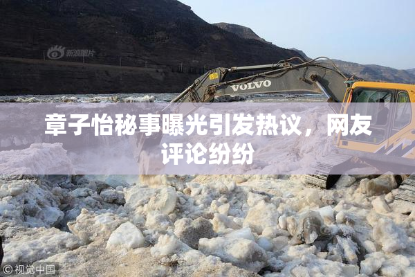 章子怡秘事曝光引发热议，网友评论纷纷