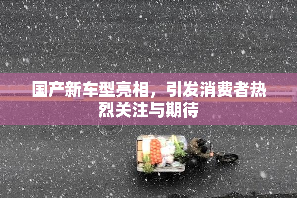 国产新车型亮相，引发消费者热烈关注与期待