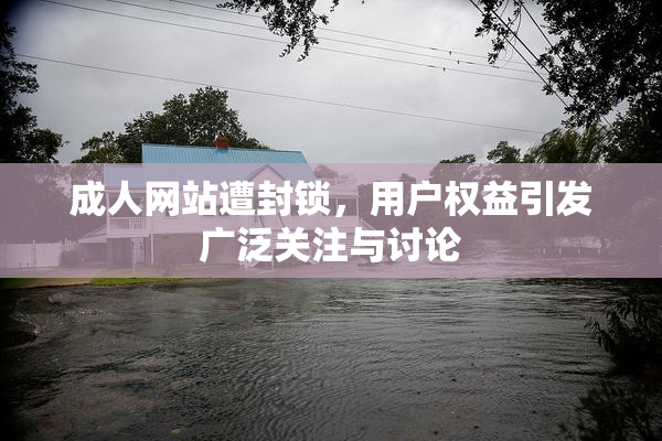 成人网站遭封锁，用户权益引发广泛关注与讨论