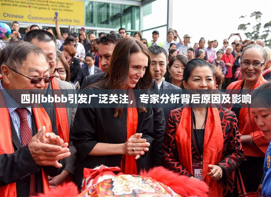 四川bbbb引发广泛关注，专家分析背后原因及影响