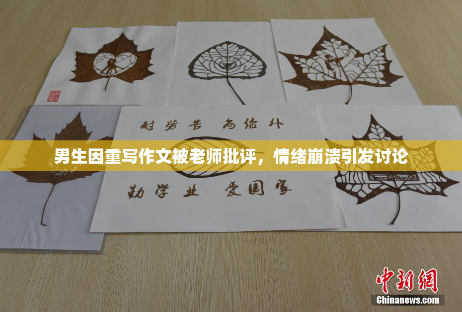 男生因重写作文被老师批评，情绪崩溃引发讨论