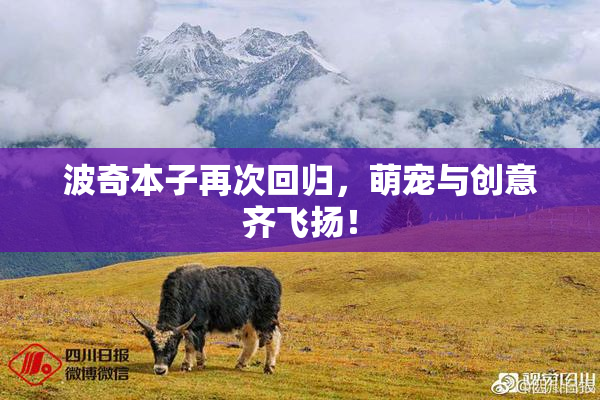 波奇本子再次回归，萌宠与创意齐飞扬！
