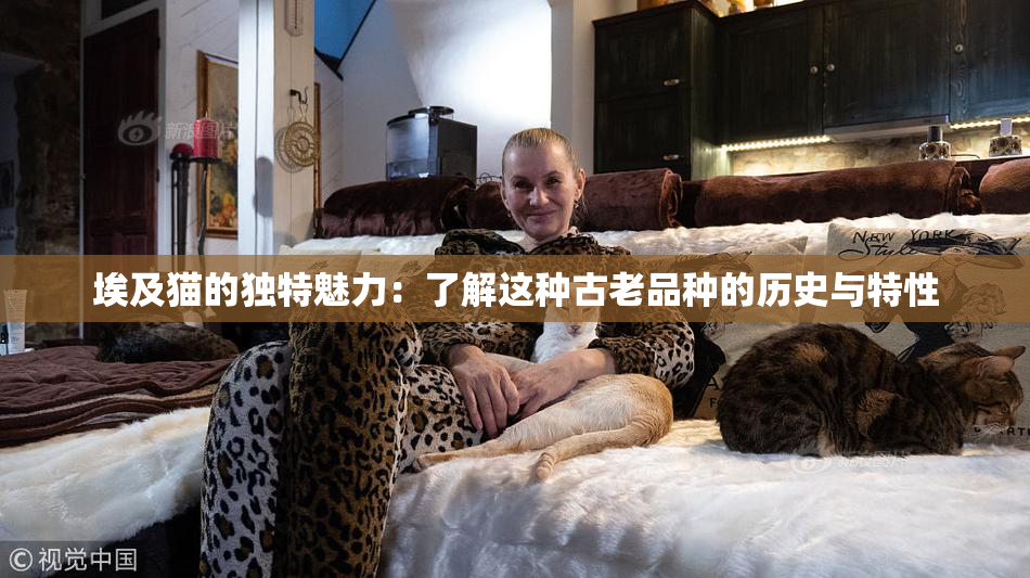 埃及猫的独特魅力：了解这种古老品种的历史与特性