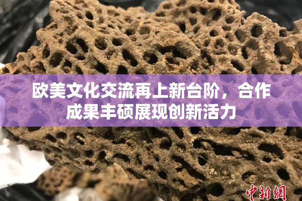 欧美文化交流再上新台阶，合作成果丰硕展现创新活力