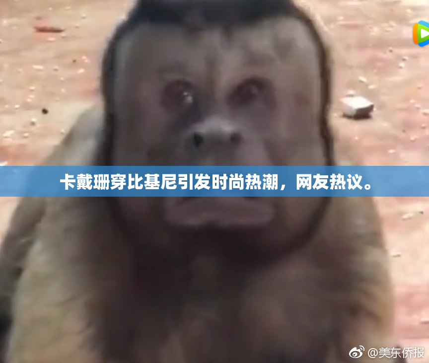 卡戴珊穿比基尼引发时尚热潮，网友热议。