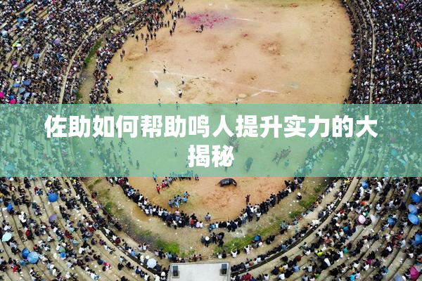 佐助如何帮助鸣人提升实力的大揭秘