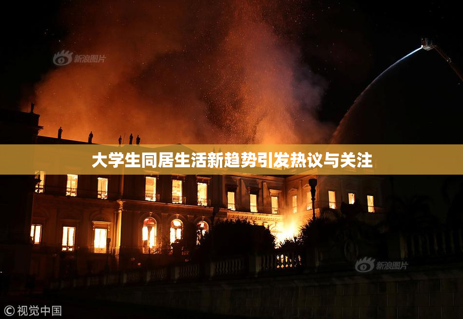 大学生同居生活新趋势引发热议与关注