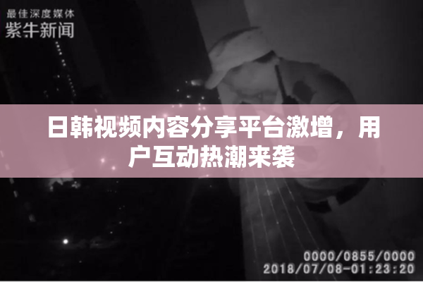 日韩视频内容分享平台激增，用户互动热潮来袭