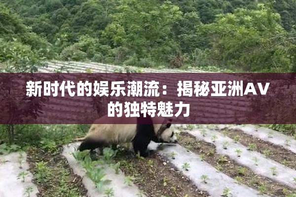 新时代的娱乐潮流：揭秘亚洲AV的独特魅力
