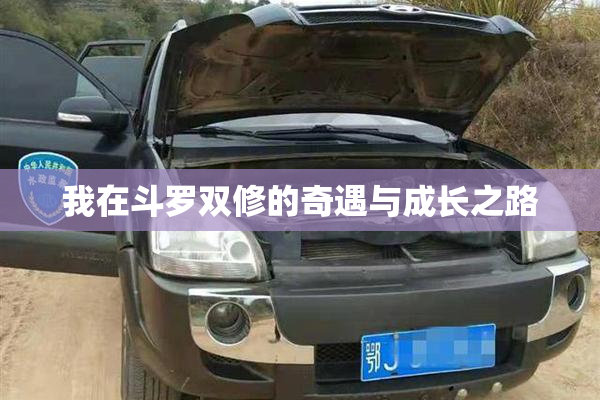 我在斗罗双修的奇遇与成长之路