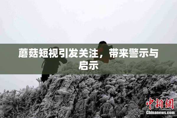 蘑菇短视引发关注，带来警示与启示