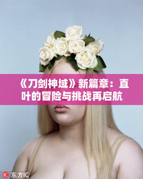 《刀剑神域》新篇章：直叶的冒险与挑战再启航