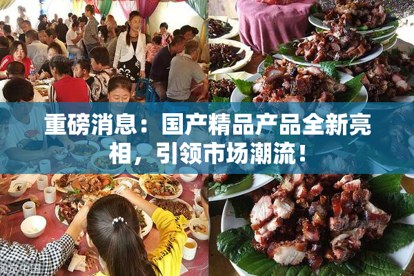 重磅消息：国产精品产品全新亮相，引领市场潮流！