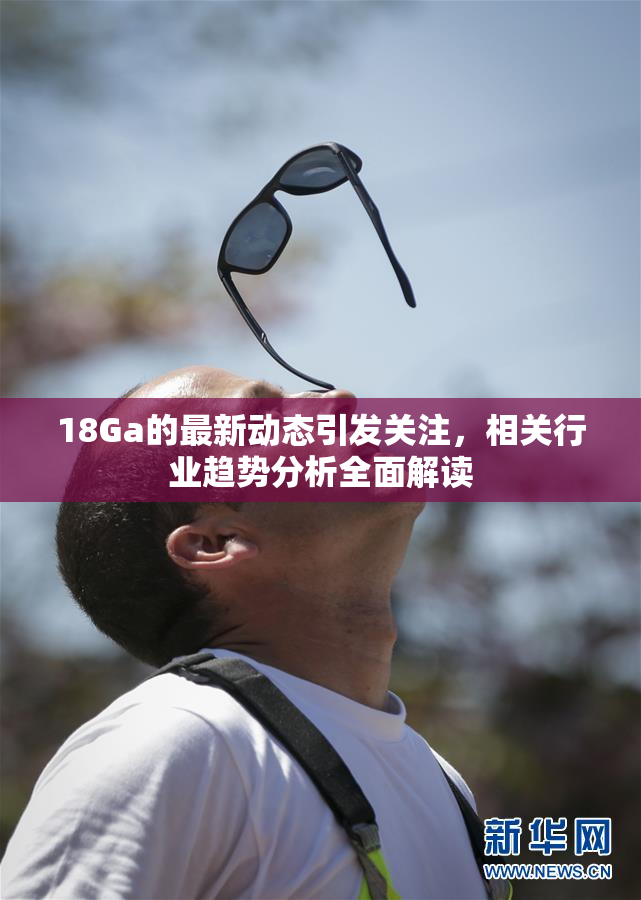 18Ga的最新动态引发关注，相关行业趋势分析全面解读